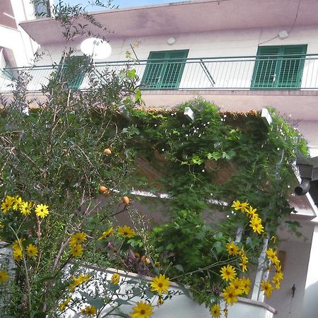 Apartman Sulic Podgora Buitenkant foto